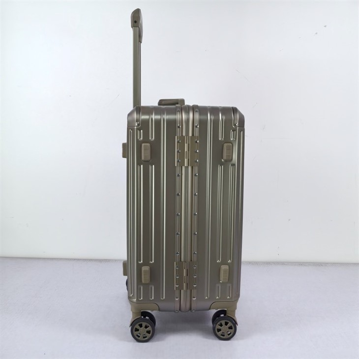 Designer Carry On Suitcase price